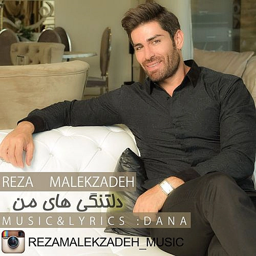 آهنگ جدید رضا ملک زاده به نام دلتنگی های من